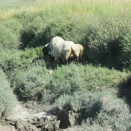 Le Petit Manoir - Jean Gedouin Semesterbostad Servon (Manche)