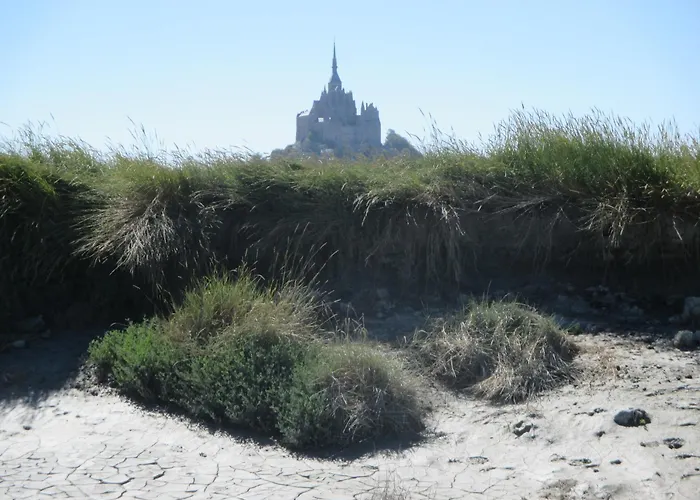 Le Petit Manoir - Jean Gédouin Servon (Manche)