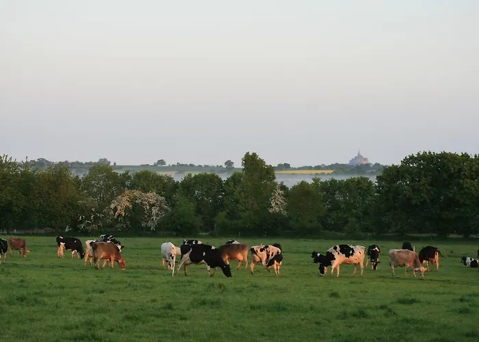 Casa vacanze Le Petit Manoir - Jean Gédouin Servon (Manche)